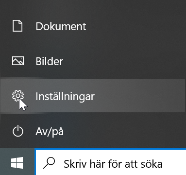 foto 2.png