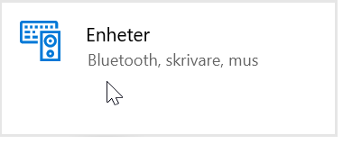 foto 3.png
