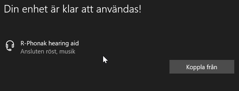 foto 8.png